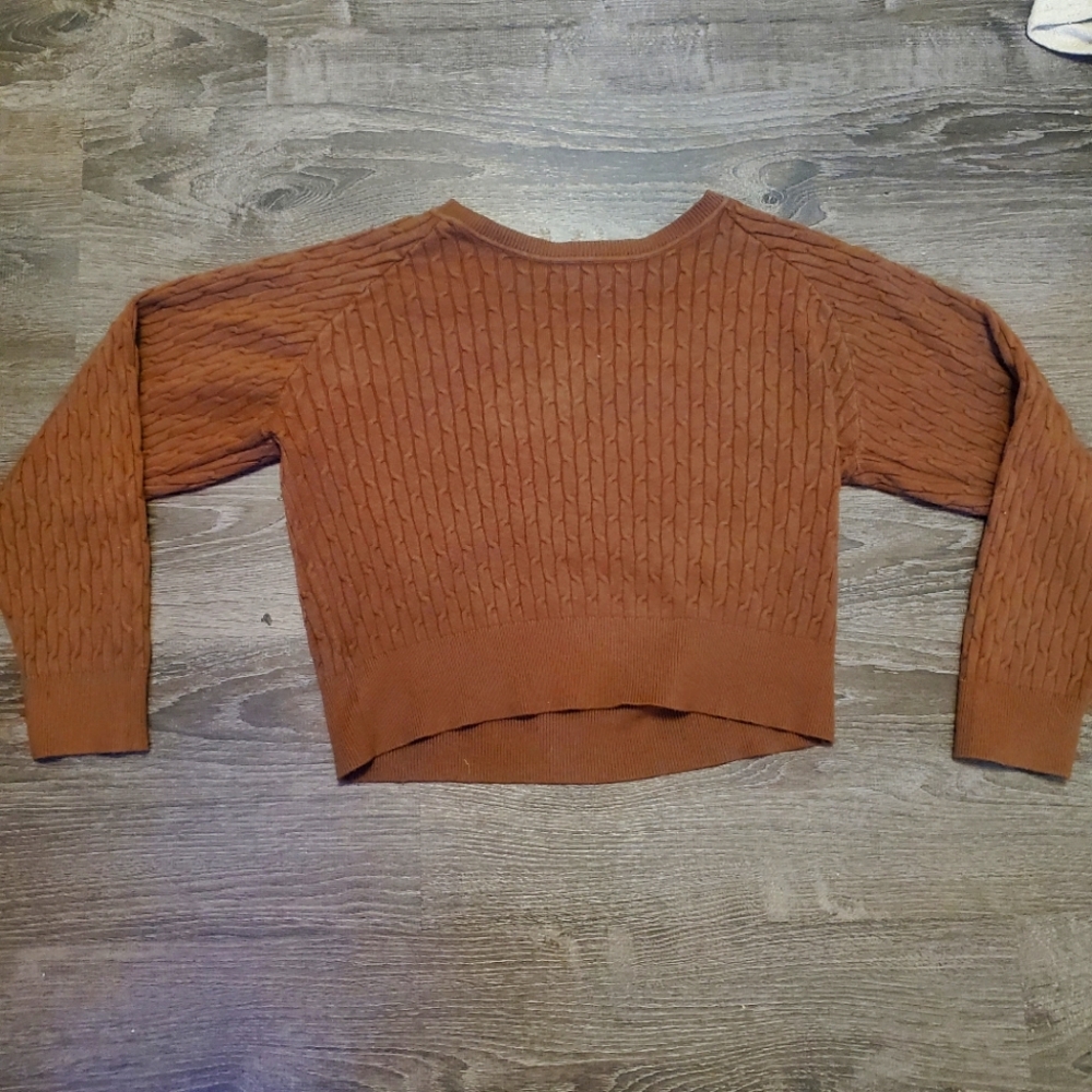 Daisy Brown Sweater Lightly Cropped Pull Over